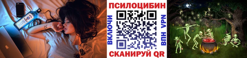 ОМГ ОМГ как войти  Бузулук  Галлюциногенные грибы Psilocybe 
